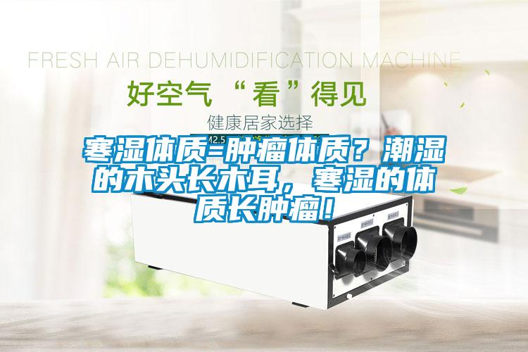 寒濕體質=腫瘤體質？潮濕的木頭長木耳，寒濕的體質長腫瘤！