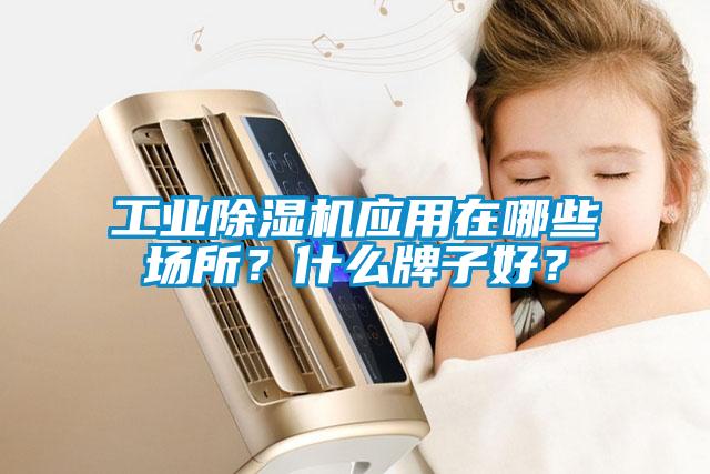 工業(yè)除濕機(jī)應(yīng)用在哪些場(chǎng)所？什么牌子好？