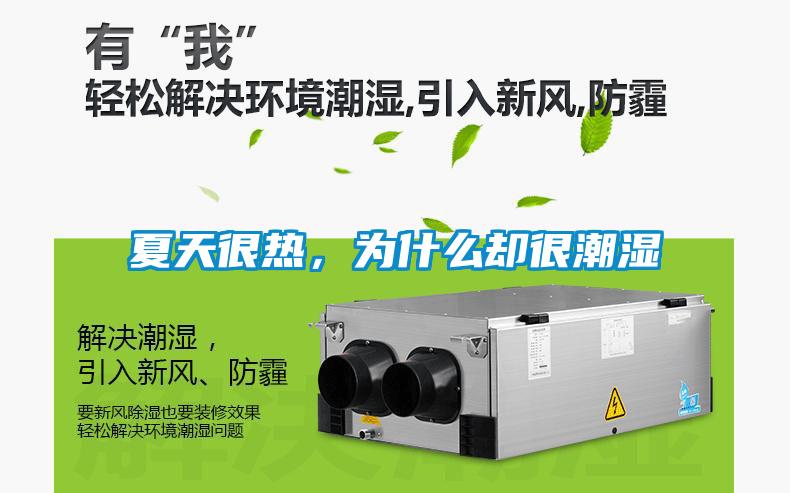 夏天很熱，為什么卻很潮濕