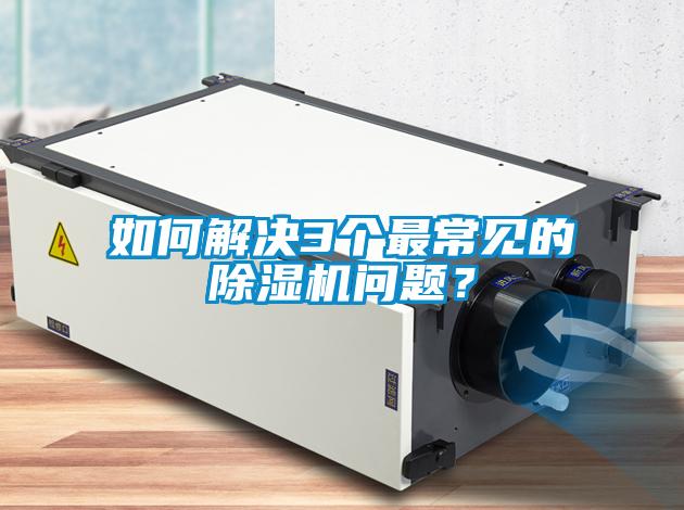 如何解決3個最常見的除濕機問題？