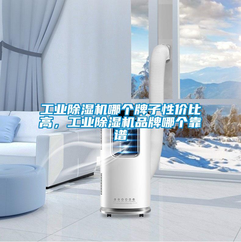 工業(yè)除濕機(jī)哪個(gè)牌子性價(jià)比高，工業(yè)除濕機(jī)品牌哪個(gè)靠譜