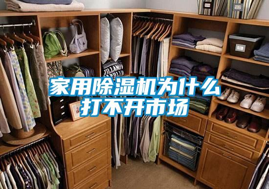 家用除濕機(jī)為什么打不開(kāi)市場(chǎng)