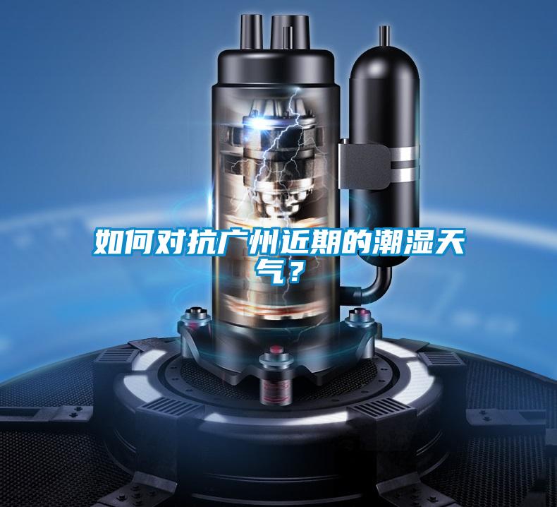 如何對抗廣州近期的潮濕天氣？