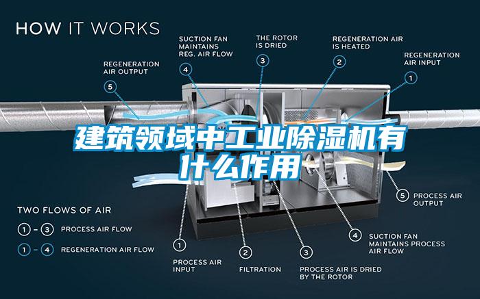 建筑領(lǐng)域中工業(yè)除濕機有什么作用