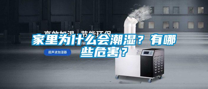 家里為什么會(huì)潮濕？有哪些危害？