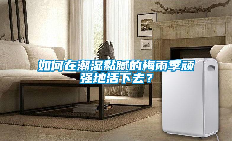 如何在潮濕黏膩的梅雨季頑強(qiáng)地活下去？