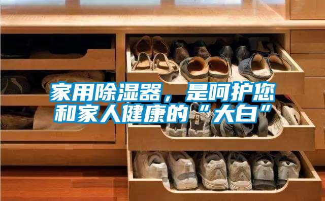 家用除濕器，是呵護您和家人健康的“大白”