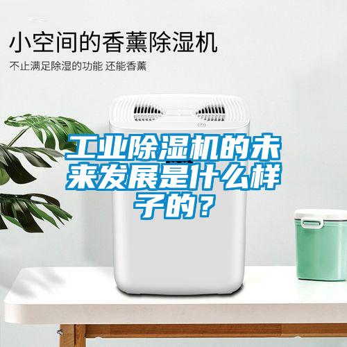 工業(yè)除濕機的未來發(fā)展是什么樣子的？