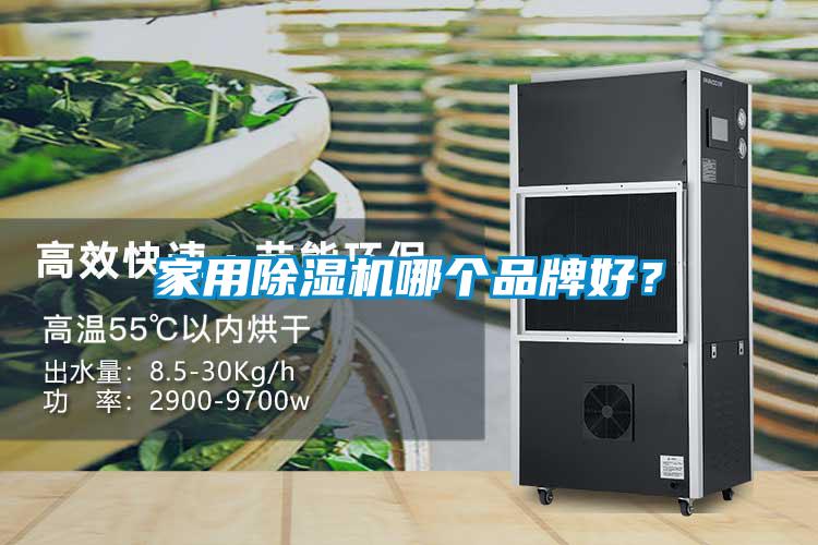 家用除濕機(jī)哪個(gè)品牌好？