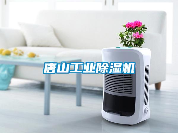 唐山工業(yè)除濕機(jī)