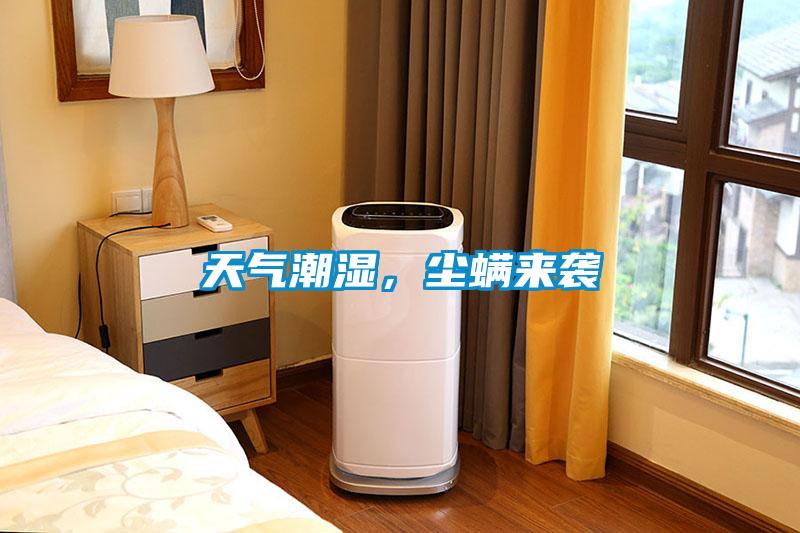 天氣潮濕，塵螨來襲