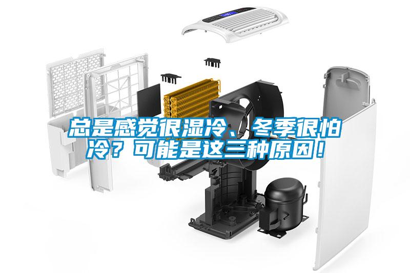 總是感覺很濕冷、冬季很怕冷？可能是這三種原因！