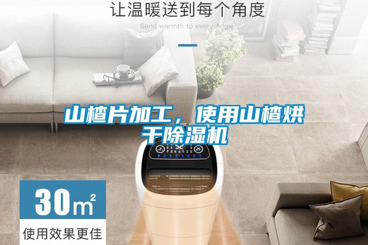 山楂片加工，使用山楂烘干除濕機