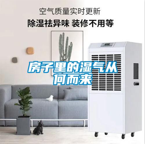 房子里的濕氣從何而來