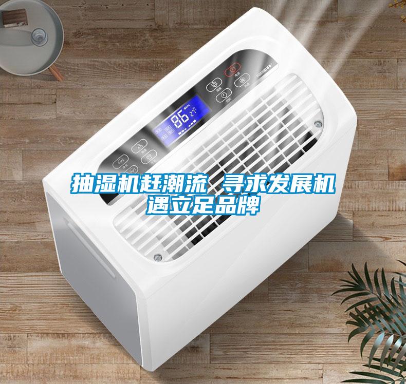 抽濕機趕潮流 尋求發(fā)展機遇立足品牌