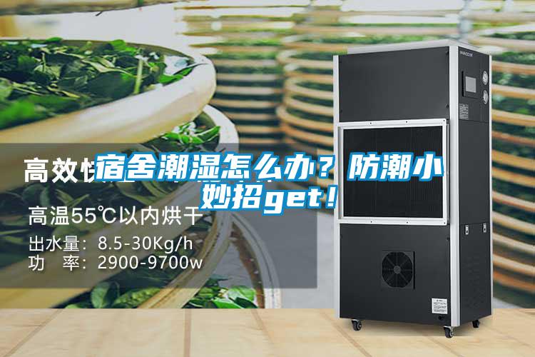 宿舍潮濕怎么辦？防潮小妙招g(shù)et！
