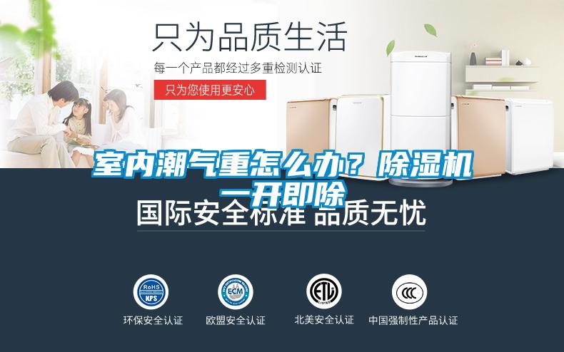 室內(nèi)潮氣重怎么辦？除濕機一開即除