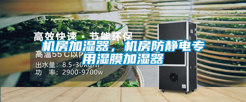 機(jī)房加濕器，機(jī)房防靜電專用濕膜加濕器