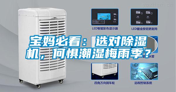 寶媽必看：選對除濕機，何懼潮濕梅雨季？