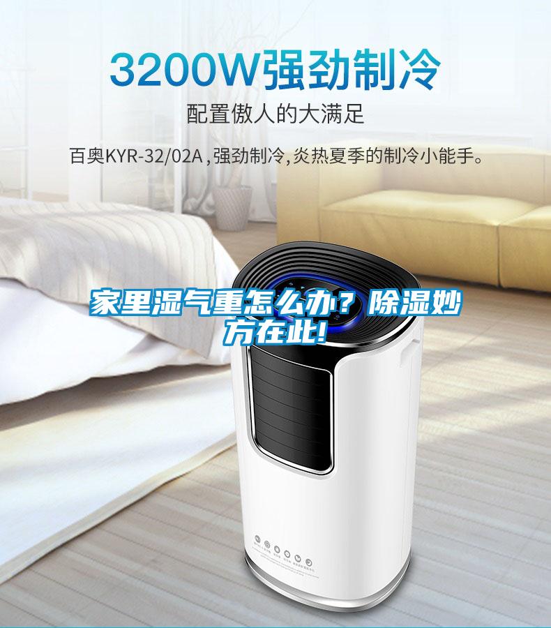 家里濕氣重怎么辦？除濕妙方在此!