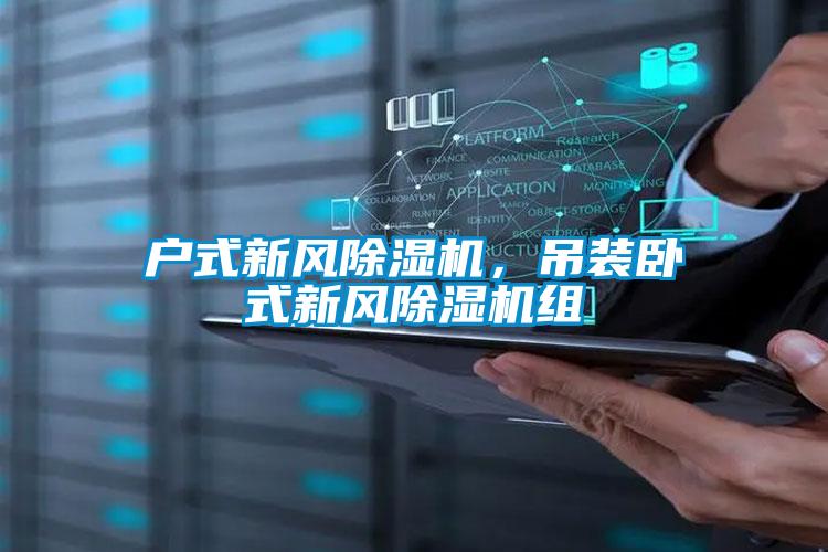 戶(hù)式新風(fēng)除濕機(jī)，吊裝臥式新風(fēng)除濕機(jī)組