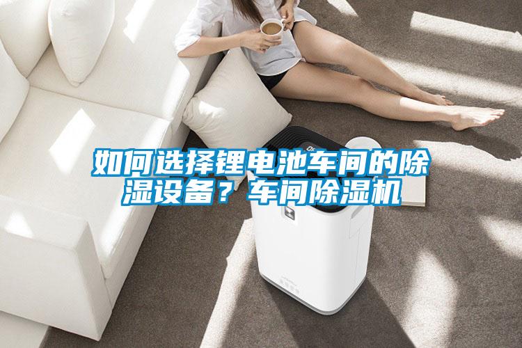如何選擇鋰電池車間的除濕設(shè)備？車間除濕機(jī)