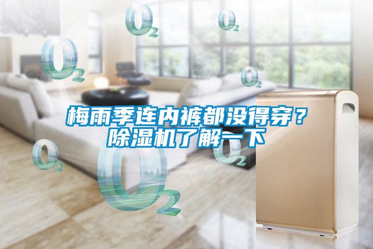 梅雨季連內(nèi)褲都沒得穿？除濕機了解一下