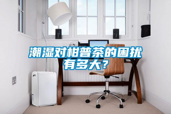 潮濕對柑普茶的困擾有多大？