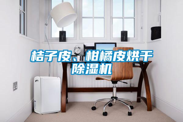 桔子皮、柑橘皮烘干除濕機(jī)