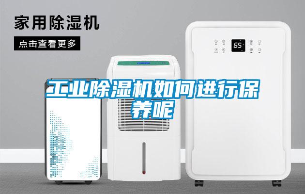 工業(yè)除濕機(jī)如何進(jìn)行保養(yǎng)呢