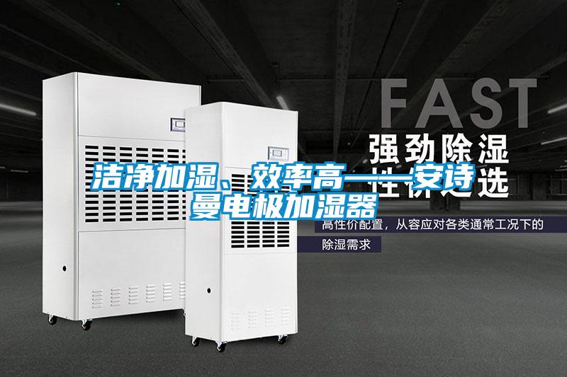 潔凈加濕、效率高——安詩曼電極加濕器