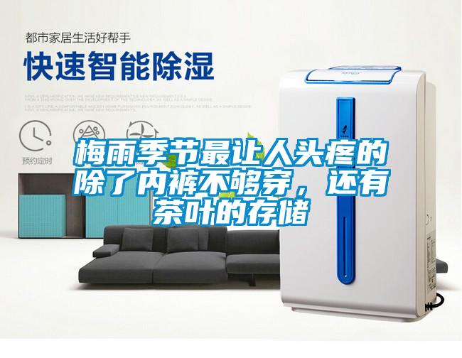 梅雨季節(jié)最讓人頭疼的除了內(nèi)褲不夠穿，還有茶葉的存儲