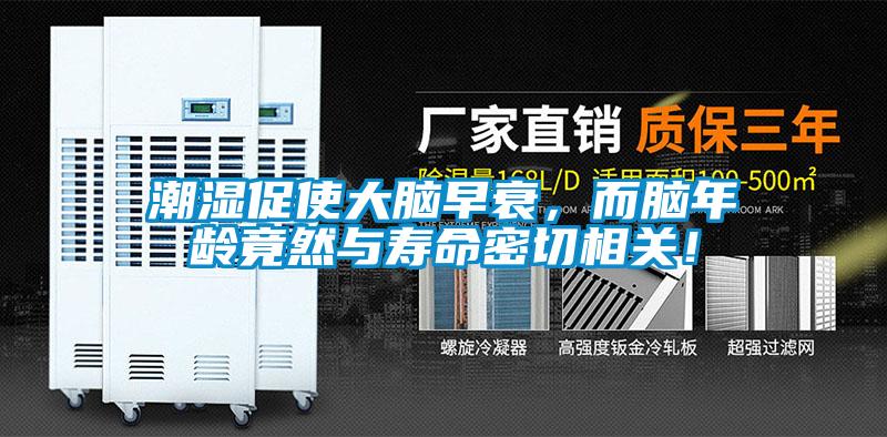 潮濕促使大腦早衰，而腦年齡竟然與壽命密切相關(guān)！
