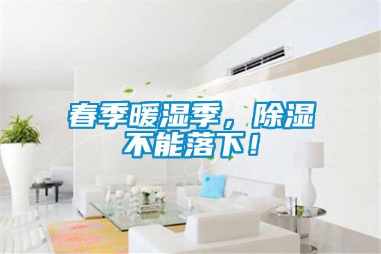 春季暖濕季，除濕不能落下！