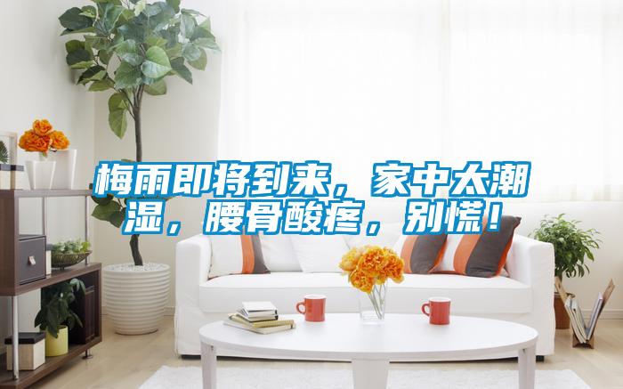 梅雨即將到來，家中太潮濕，腰骨酸疼，別慌！