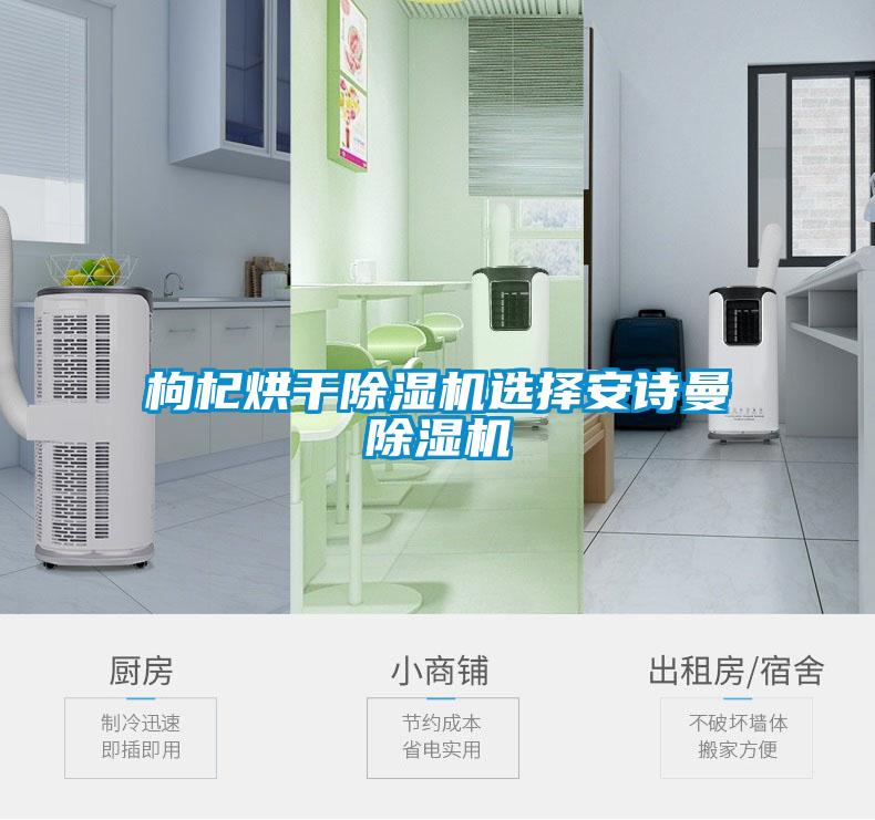 枸杞烘干除濕機(jī)選擇安詩曼除濕機(jī)