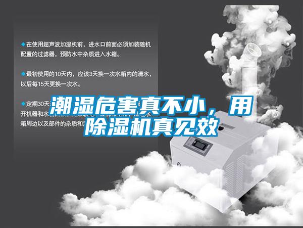 潮濕危害真不小，用除濕機(jī)真見效