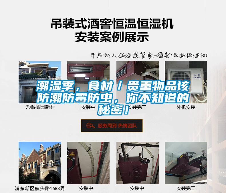 潮濕季，食材／貴重物品該防潮防霉防蟲，你不知道的秘密！