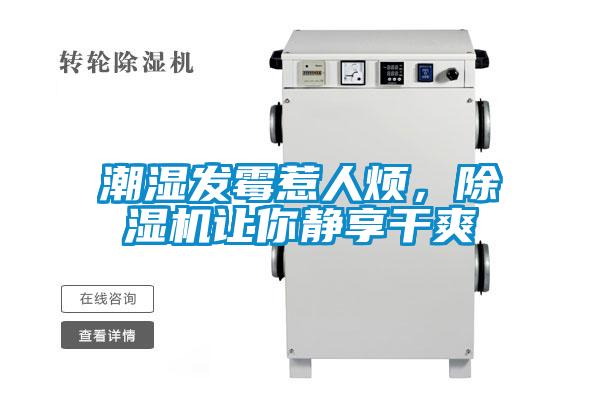 潮濕發(fā)霉惹人煩，除濕機讓你靜享干爽