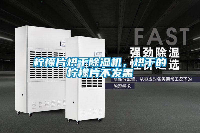 檸檬片烘干除濕機，烘干的檸檬片不發(fā)黑
