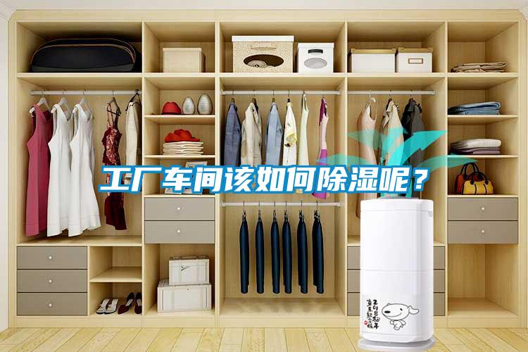 工廠車間該如何除濕呢？