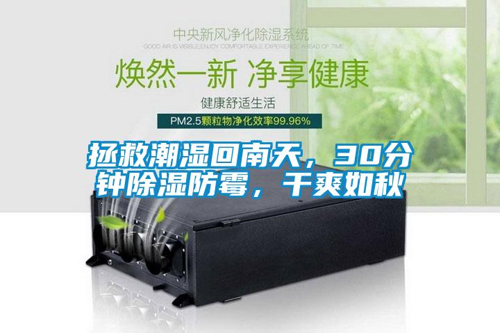 拯救潮濕回南天，30分鐘除濕防霉，干爽如秋