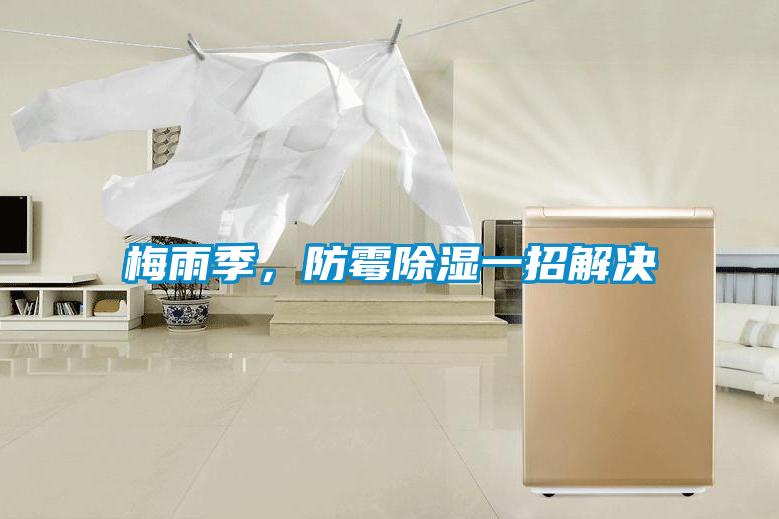 梅雨季，防霉除濕一招解決
