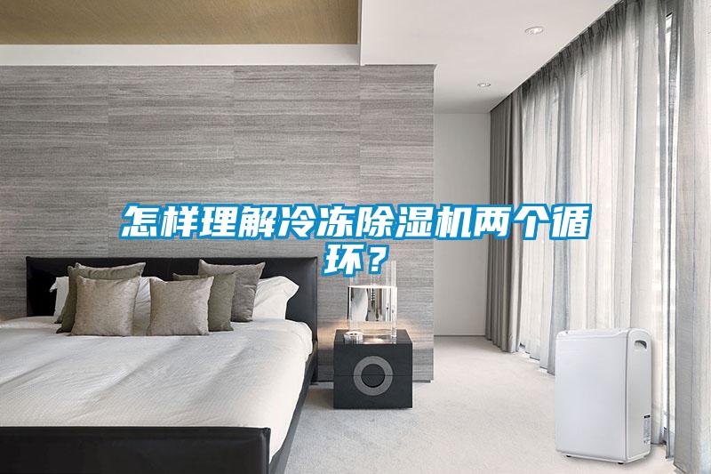 怎樣理解冷凍除濕機兩個循環(huán)？