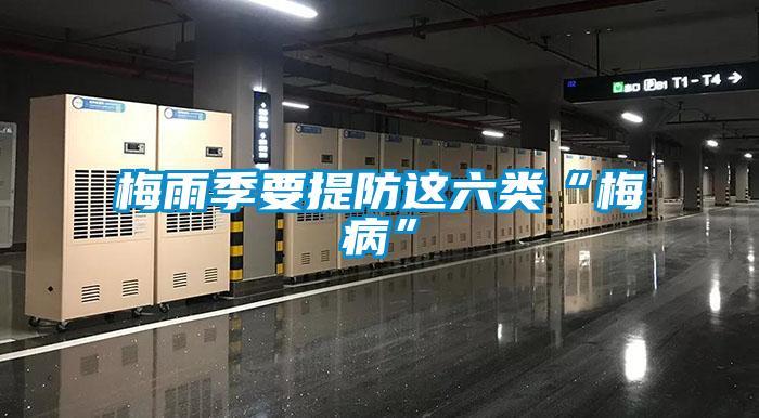 梅雨季要提防這六類“梅病”