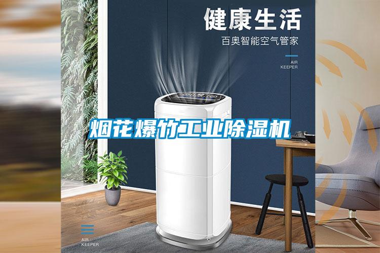 煙花爆竹工業(yè)除濕機(jī)