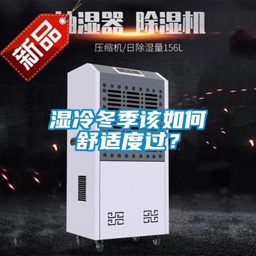 濕冷冬季該如何舒適度過(guò)？