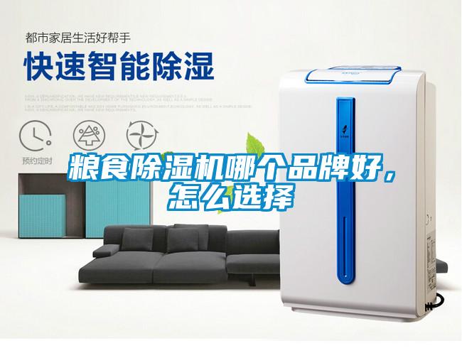 糧食除濕機(jī)哪個(gè)品牌好，怎么選擇