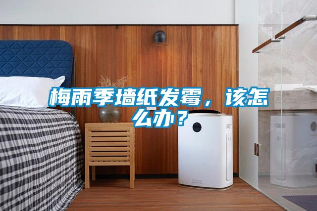 梅雨季墻紙發(fā)霉，該怎么辦？