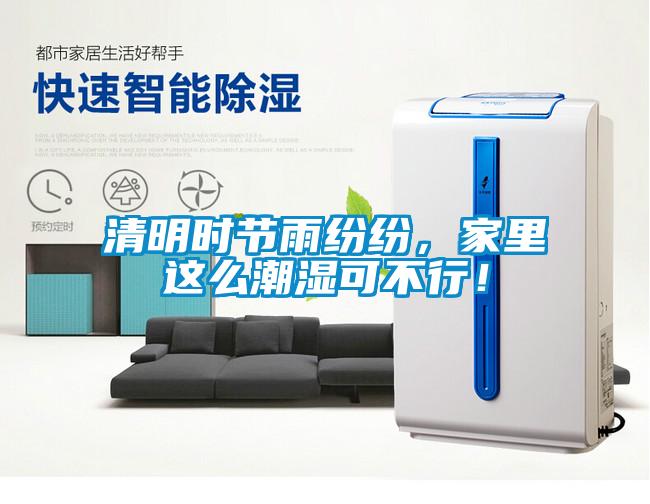 清明時(shí)節(jié)雨紛紛，家里這么潮濕可不行！